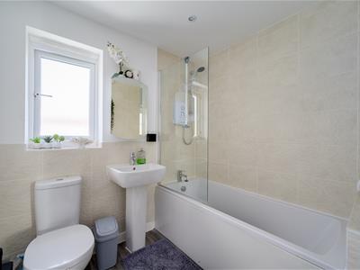Picture 17